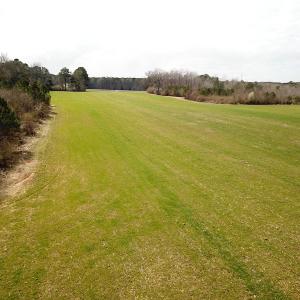Photo #24 of SOLD property in 7245 General Mahone Hwy, Waverly, VA 62.0 acres