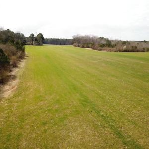 Photo #24 of SOLD property in 7245 General Mahone Hwy, Waverly, VA 62.0 acres