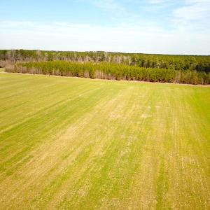 Photo #26 of SOLD property in 7245 General Mahone Hwy, Waverly, VA 62.0 acres
