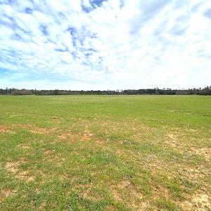 Photo #32 of SOLD property in 7245 General Mahone Hwy, Waverly, VA 62.0 acres