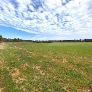 Photo #33 of SOLD property in 7245 General Mahone Hwy, Waverly, VA 62.0 acres