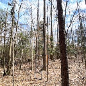 Photo #38 of SOLD property in 7245 General Mahone Hwy, Waverly, VA 62.0 acres