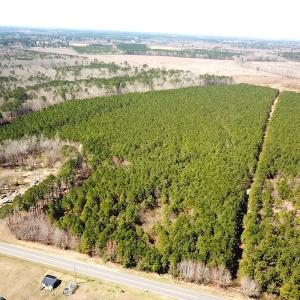 Photo #2 of SOLD property in 723 Ahoskie-Cofield Road, Cofield, NC 104.5 acres