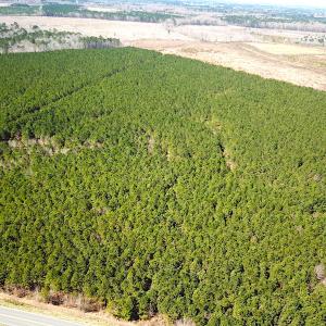 Photo #3 of SOLD property in 723 Ahoskie-Cofield Road, Cofield, NC 104.5 acres