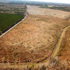 Photo #5 of SOLD property in 723 Ahoskie-Cofield Road, Cofield, NC 104.5 acres