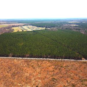Photo #6 of SOLD property in 723 Ahoskie-Cofield Road, Cofield, NC 104.5 acres