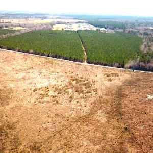 Photo #7 of SOLD property in 723 Ahoskie-Cofield Road, Cofield, NC 104.5 acres