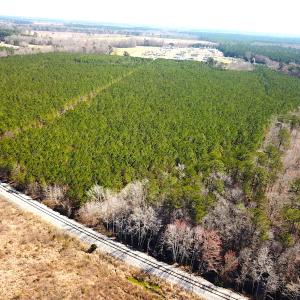 Photo #8 of SOLD property in 723 Ahoskie-Cofield Road, Cofield, NC 104.5 acres