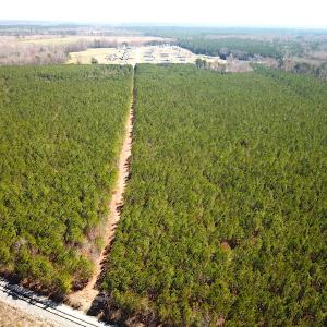 Photo #9 of SOLD property in 723 Ahoskie-Cofield Road, Cofield, NC 104.5 acres