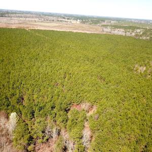 Photo #10 of SOLD property in 723 Ahoskie-Cofield Road, Cofield, NC 104.5 acres