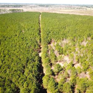 Photo #12 of SOLD property in 723 Ahoskie-Cofield Road, Cofield, NC 104.5 acres