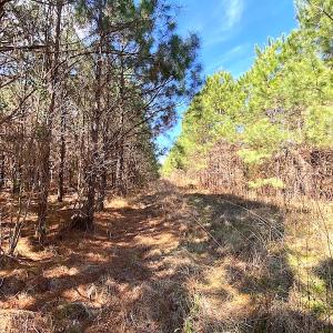 Photo #13 of SOLD property in 723 Ahoskie-Cofield Road, Cofield, NC 104.5 acres