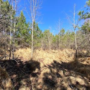 Photo #15 of SOLD property in 723 Ahoskie-Cofield Road, Cofield, NC 104.5 acres