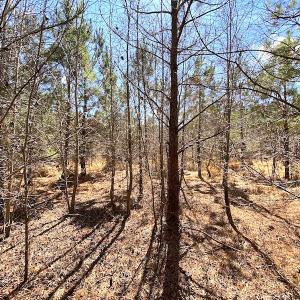 Photo #18 of SOLD property in 723 Ahoskie-Cofield Road, Cofield, NC 104.5 acres