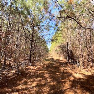Photo #20 of SOLD property in 723 Ahoskie-Cofield Road, Cofield, NC 104.5 acres