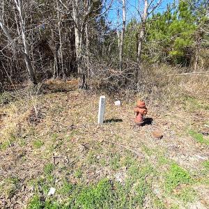 Photo #21 of SOLD property in 723 Ahoskie-Cofield Road, Cofield, NC 104.5 acres