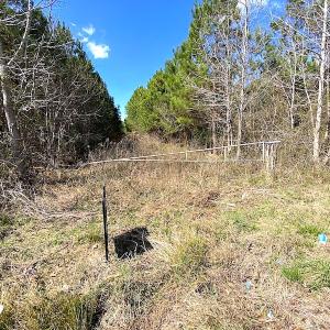 Photo #24 of SOLD property in 723 Ahoskie-Cofield Road, Cofield, NC 104.5 acres