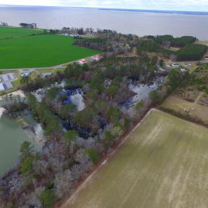 Photo #3 of SOLD property in Off Highway 32, Roper, NC 14.7 acres