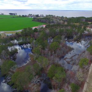 Photo #6 of SOLD property in Off Highway 32, Roper, NC 14.7 acres