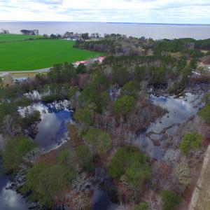 Photo #6 of SOLD property in Off Highway 32, Roper, NC 14.7 acres