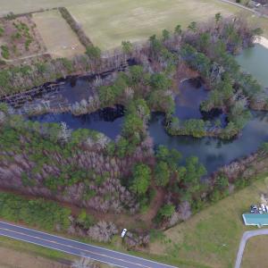 Photo #7 of SOLD property in Off Highway 32, Roper, NC 14.7 acres