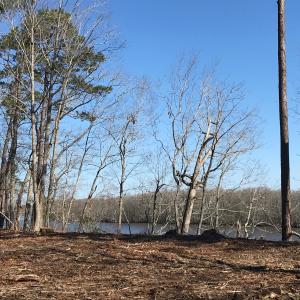 Photo #2 of SOLD property in 210 Riversedge Drive, Winton, NC 0.7 acres