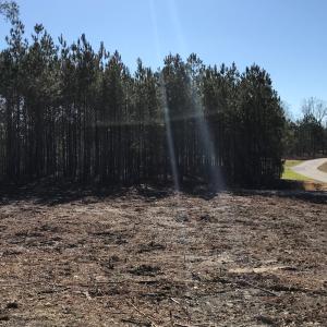 Photo #5 of SOLD property in 210 Riversedge Drive, Winton, NC 0.7 acres
