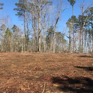 Photo #7 of SOLD property in 210 Riversedge Drive, Winton, NC 0.7 acres