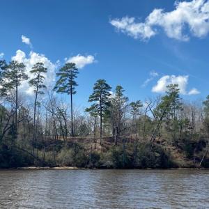 Photo #7 of SOLD property in 206 Riversedge Drive, Winton, NC 0.7 acres