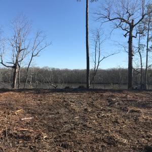 Photo #3 of SOLD property in 206 Riversedge Drive, Winton, NC 0.7 acres