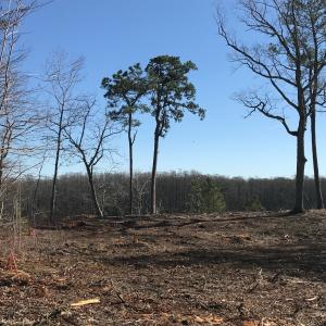 Photo #4 of SOLD property in 206 Riversedge Drive, Winton, NC 0.7 acres