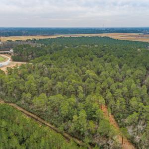 Photo #9 of SOLD property in Off Warren Taylor Road, Richlands, NC 2.1 acres