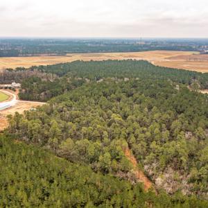 Photo #10 of SOLD property in Off Warren Taylor Road, Richlands, NC 2.1 acres