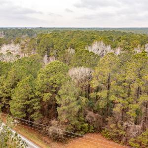 Photo #11 of SOLD property in Off Warren Taylor Road, Richlands, NC 2.1 acres
