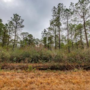 Photo #17 of SOLD property in Off Warren Taylor Road, Richlands, NC 2.1 acres