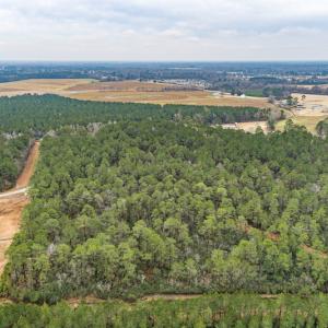 Photo #7 of SOLD property in Off Warren Taylor Road, Richlands, NC 2.1 acres