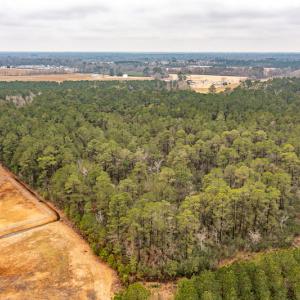 Photo #8 of SOLD property in Off Warren Taylor Road, Richlands, NC 2.1 acres