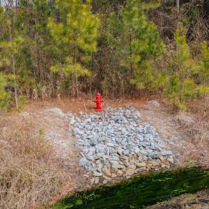 Photo #15 of SOLD property in Off Highway 258, Kinston, NC 2.7 acres