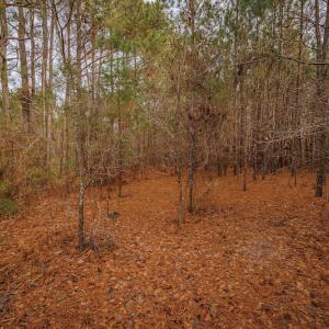 Photo #21 of SOLD property in Off Highway 258, Kinston, NC 2.7 acres