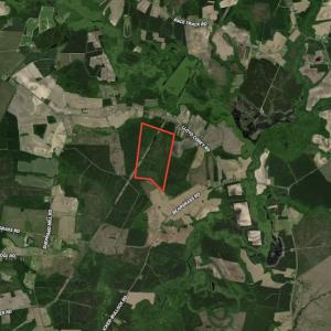 Photo #1 of Off Lloyd Corey Road, Stokes, NC 166.0 acres
