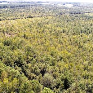 Photo #3 of Off Lloyd Corey Road, Stokes, NC 166.0 acres