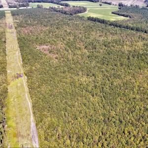 Photo #5 of Off Lloyd Corey Road, Stokes, NC 166.0 acres