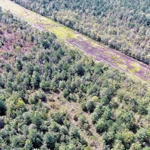 Photo #7 of Off Lloyd Corey Road, Stokes, NC 166.0 acres
