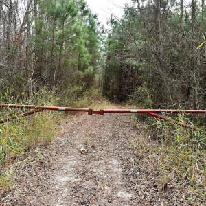 Photo #9 of Off Lloyd Corey Road, Stokes, NC 166.0 acres