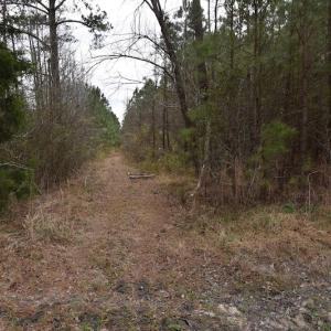 Photo #10 of Off Lloyd Corey Road, Stokes, NC 166.0 acres