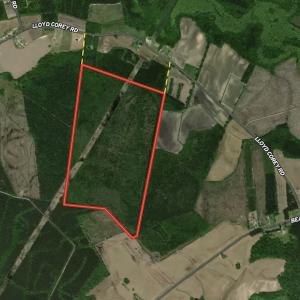 Photo #18 of Off Lloyd Corey Road, Stokes, NC 166.0 acres