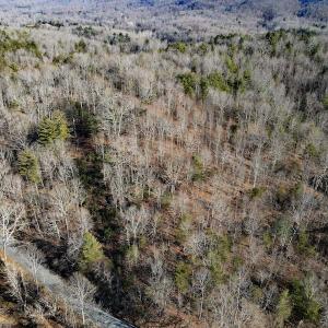 Photo #12 of SOLD property in Off Wagon Trail Road, Monroe, VA 9.2 acres