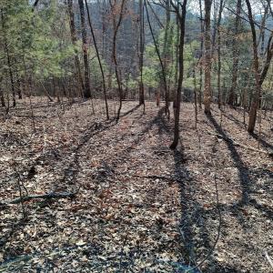 Photo #4 of SOLD property in Off Wagon Trail Road, Monroe, VA 9.2 acres