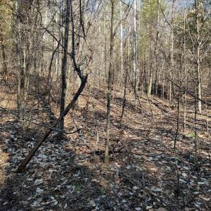 Photo #5 of SOLD property in Off Wagon Trail Road, Monroe, VA 9.2 acres