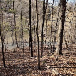 Photo #9 of SOLD property in Off Wagon Trail Road, Monroe, VA 9.2 acres